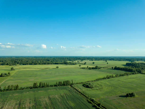 istock drone image. aerial view of empty cultivated fields 969460768