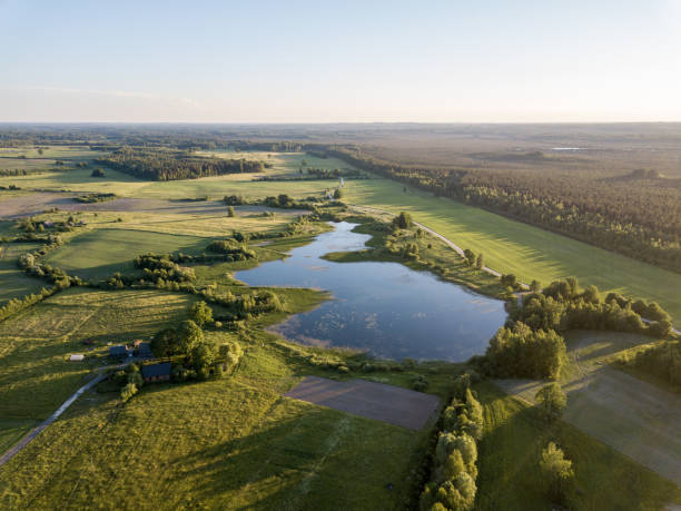 istock drone image. country lake surrounded by pine forest and fields from above 969461110