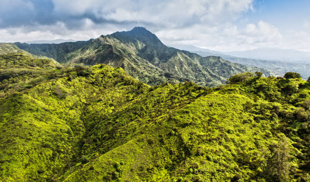 istock Aerial View over Kauai, Hawaii 969461456
