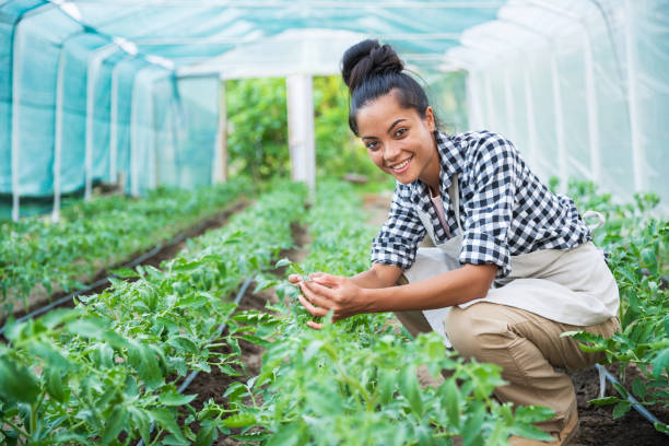 istock Smiling female farmer working in greenhouse 969461824