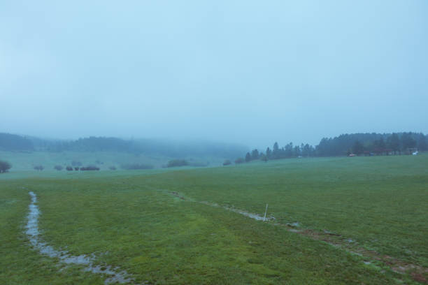 Xiannu mountain prairie, wulong county, sichuan province, China
