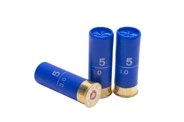 istock three blue bullets for a double-barreled shotgun, over white background 969464568