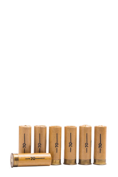 istock seven cartridges for double-barreled weapons, on white 969464584