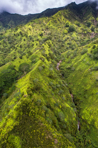 istock Aerial View over Kauai, Hawaii 969464728