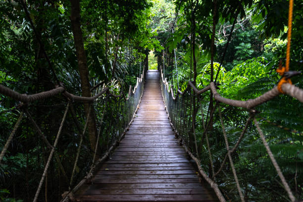 istock Hanging bridge at Caleruega Chapel , Tagaytay 969465296