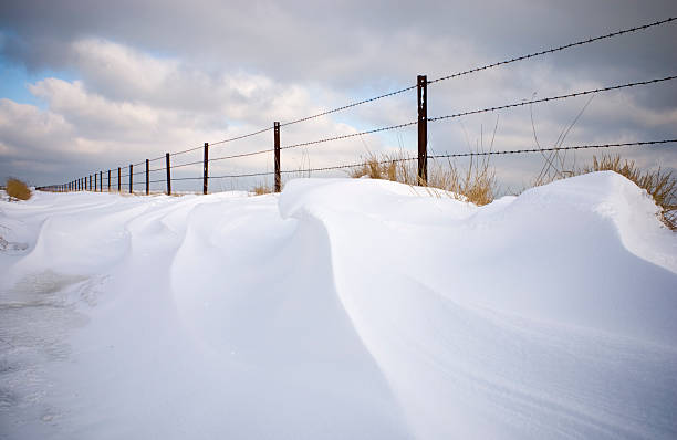 near Dornumer Siel in Lower Saxony, Germany.