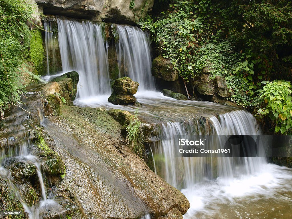 Bosque de Bologne - Foto de stock de Arbusto libre de derechos