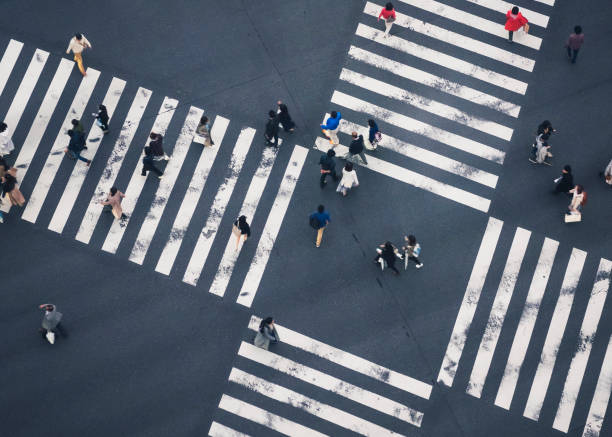 사람들이 도시 거리 횡단 보도 평면도 건너 " - crossing zebra crossing crosswalk street 뉴스 사진 이미지