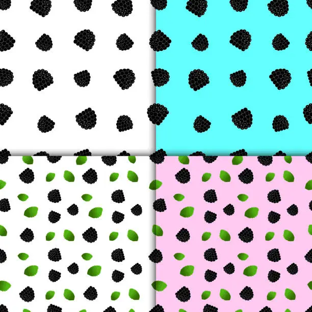 Vector illustration of Blackberry pattern