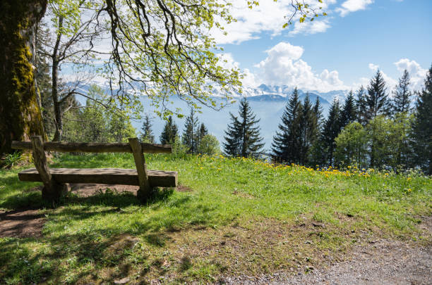 istock Wooden bench on mountain overlooking mountains 969481840