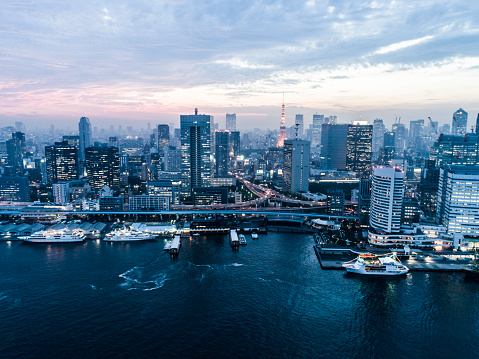 We can see the city of Tokyo and harbor.