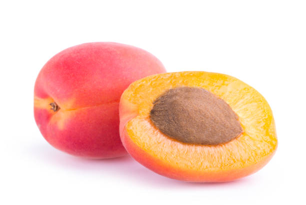 istock apricot isolated on white background 969485706