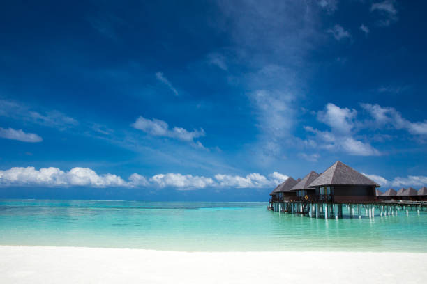 istock tropical Maldives island with white sandy beach and sea 969485886