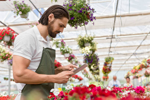 istock Gardener in plant nursery 969493528