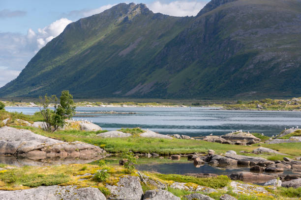 istock mountain on the coast of Eggum 969496144