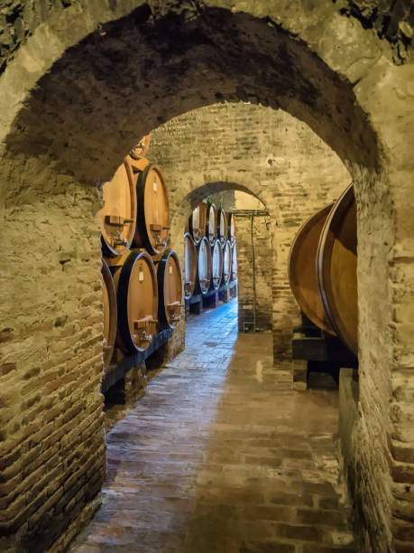 istock Barrels for winemaking in Tuscany 969496372