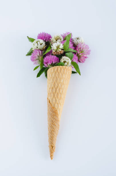 istock Ice cream cone with flowers on white background. Flat lay. Top view. 969497084