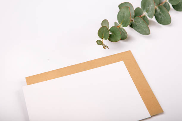 istock Blank page wooden tablet white background 969504788