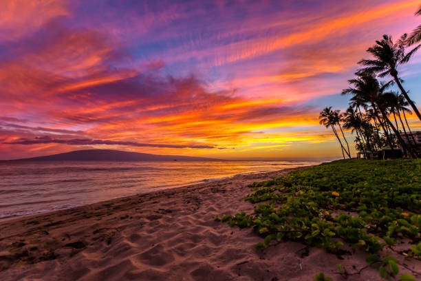 istock Kaanapali Beach at Sunset 969507318