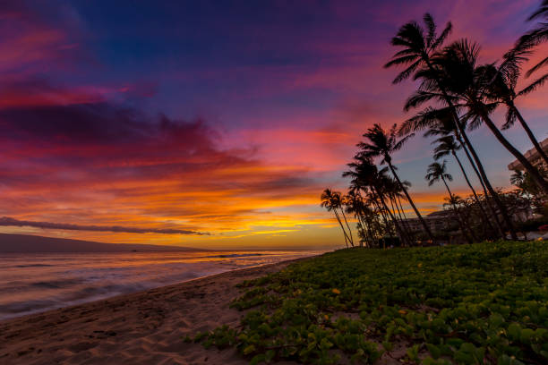 istock Kaanapali Beach at Sunset 969507338