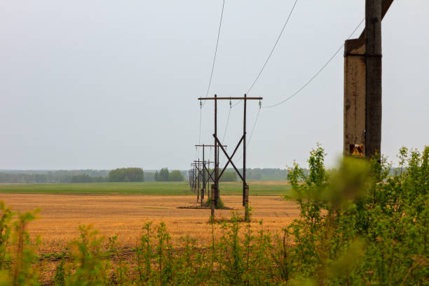 Power line wooden poles