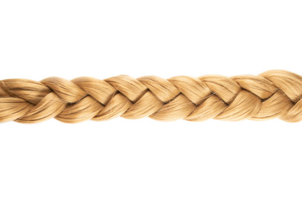 blond plait or braid of blond hair isolated on white background