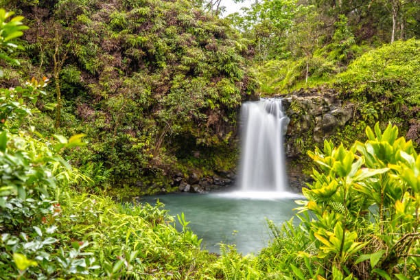 водопад пуаа каа - hana maui sea scenics стоковые фото и изображения