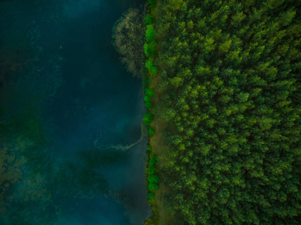 istock Aerial top down view over forest and lake 969514220