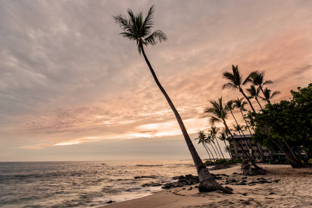 istock Sunset at Honls Beach in Big Island 969514726