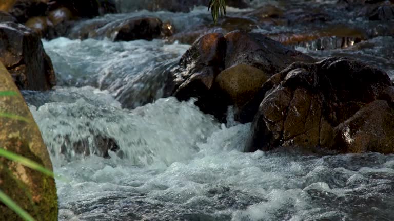 Stream water in rapid river in mountain close up. Water stream quickly flowing downhill in rocky river. Wild water stream creating bubbling foam