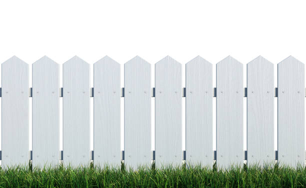 istock Wooden fence on grass with white background 969515468