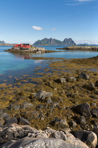 istock panoramic view at Svolvaer in the Lofoten 969518698