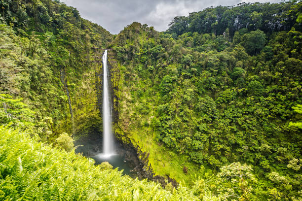 istock Akaka Falls on Big Island, Hawaii 969518938