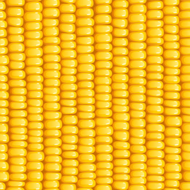 кукурузный поб. органические продукты питания бесшовные картины. - corn on the cob stock illustrations