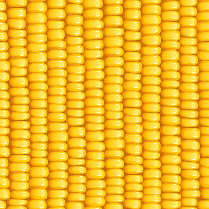 Corn cob. Organic food seamless pattern.