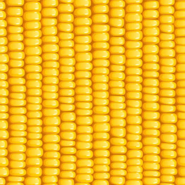 Vector illustration of Corn cob. Organic food seamless pattern.