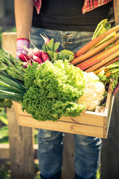 istock Young woman holding own produce 969528766