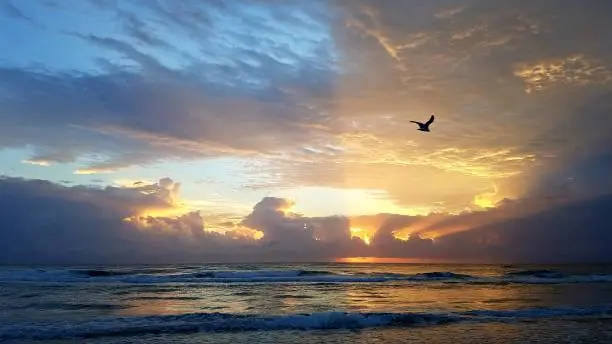 Sunrise over a Surfers Paradise