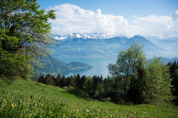 istock Alpine forest and meadow surrounded by mountains 969531628