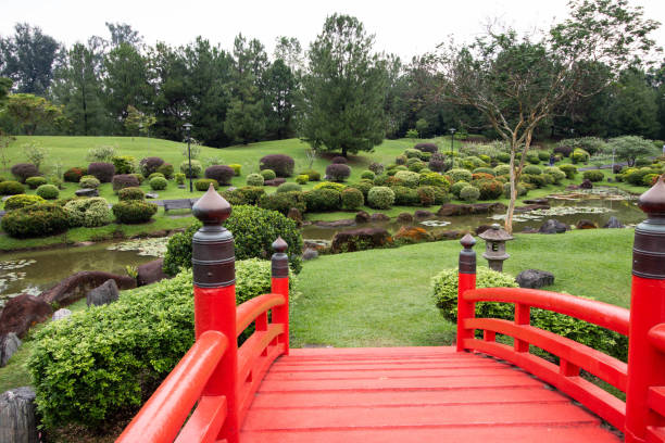 istock Red Bridge  at Japanese Garden, Singapore 969534584