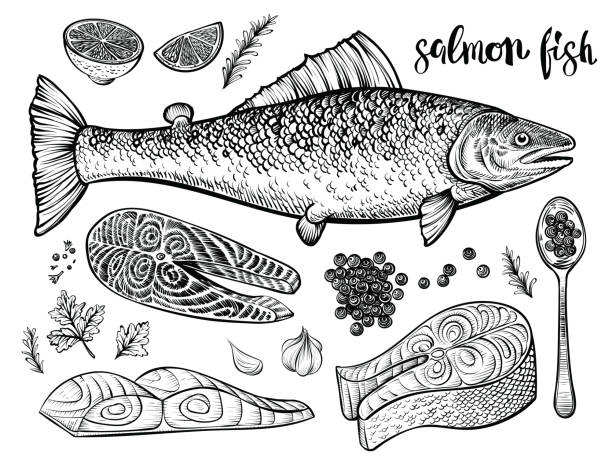 stockillustraties, clipart, cartoons en iconen met zalm vissen hand getekende vector schets. illustratie van zeevruchten. zijkant filet, biefstuk en rode kaviaar op lepel en vissen. - trekzalm