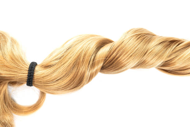 istock close-up of long blond ponytail on white background 969549446