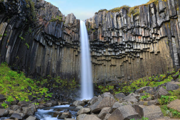 istock Beautiful Svartifoss waterfall (Black Falls) in Iceland 969555282
