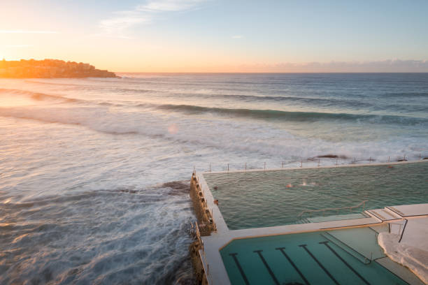 bondi beach ora mattutina - surfing new south wales beach australia foto e immagini stock