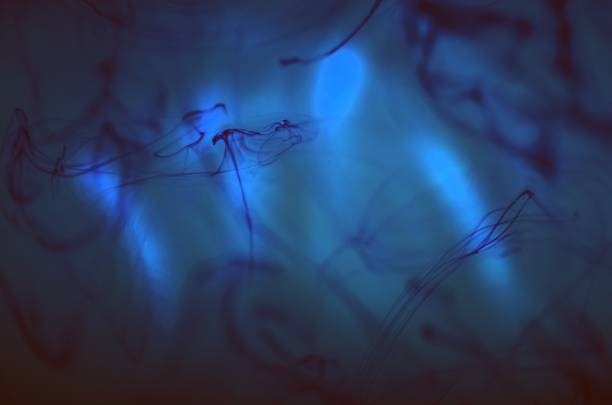 istock Ink in water. Underwater miracle. Ocean background. 969571352