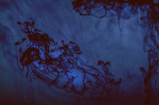 istock Ink in water. Underwater miracle. Ocean background. 969571910