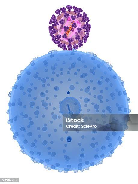 Hi Células De Virus Los Infecte Foto de stock y más banco de imágenes de Asistencia sanitaria y medicina - Asistencia sanitaria y medicina, Biología, Ciencia