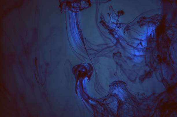 istock Ink in water. Underwater miracle. Ocean background. 969572332