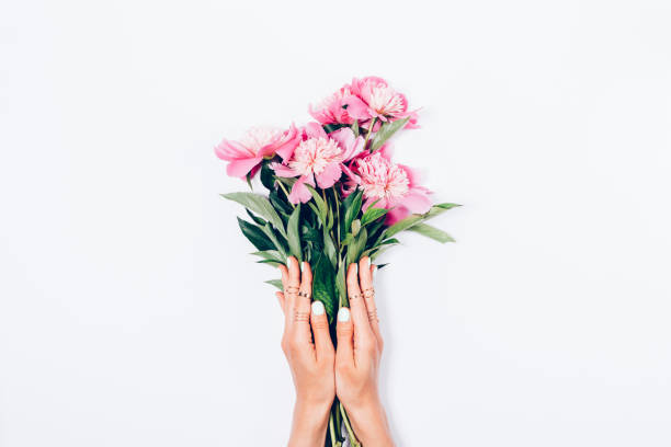 istock Women's hands with stylish manicure holding bouquet 969575588