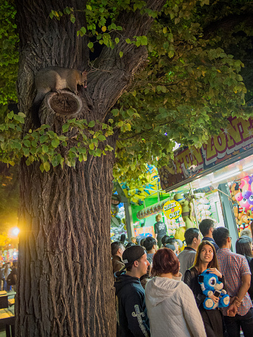 Australia: Girl notices a possum hiding in a tree at a busy festival
